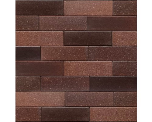 Wonderful Brown Orange + Dark Brown Gradation