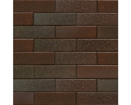 Wonderful Dark Brown Gradation