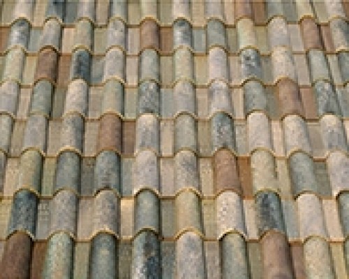 Verde Eucalypto